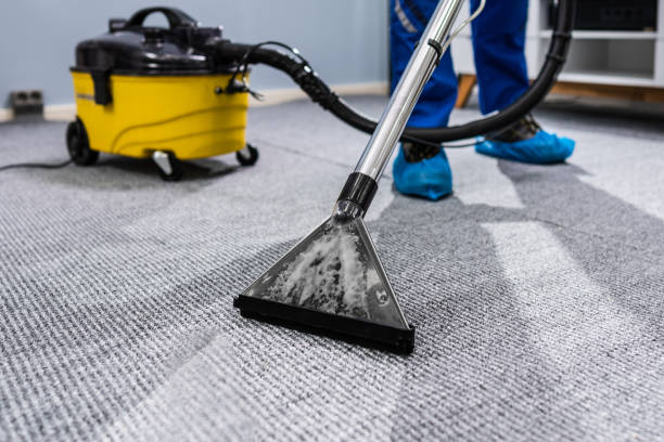 Carpet vacuuming on a scheduled visit